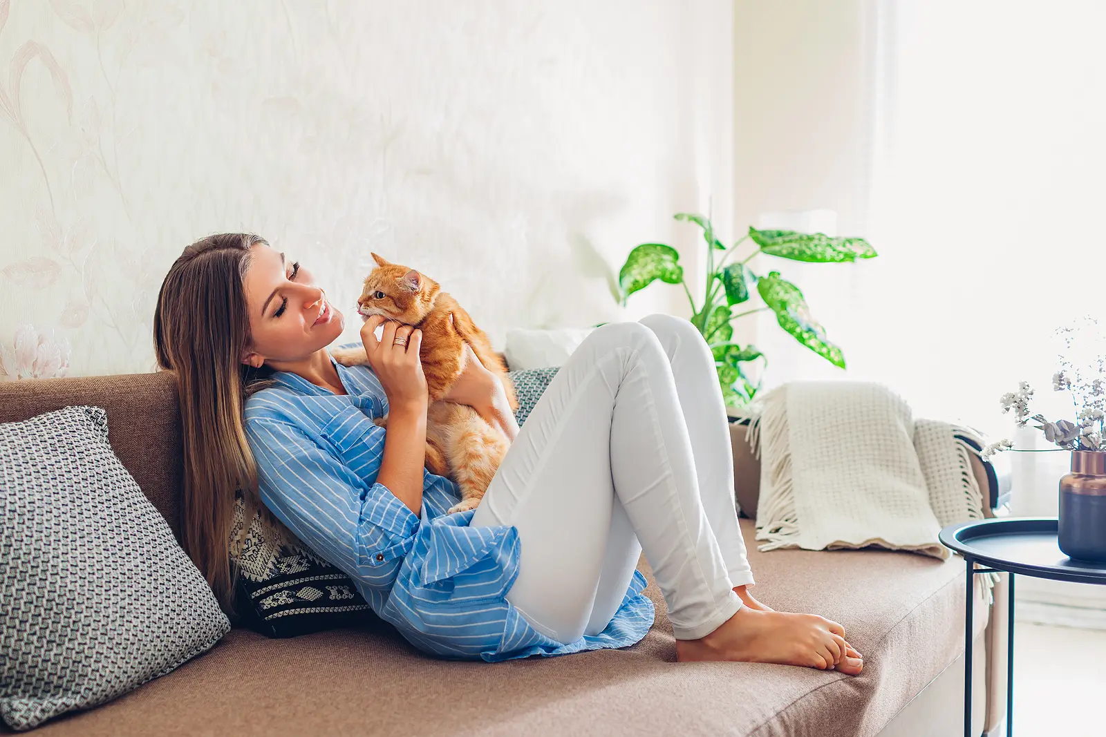 Pet-Friendly Leasing Without the Pitfalls: A Guide for Walnut Creek Landlords